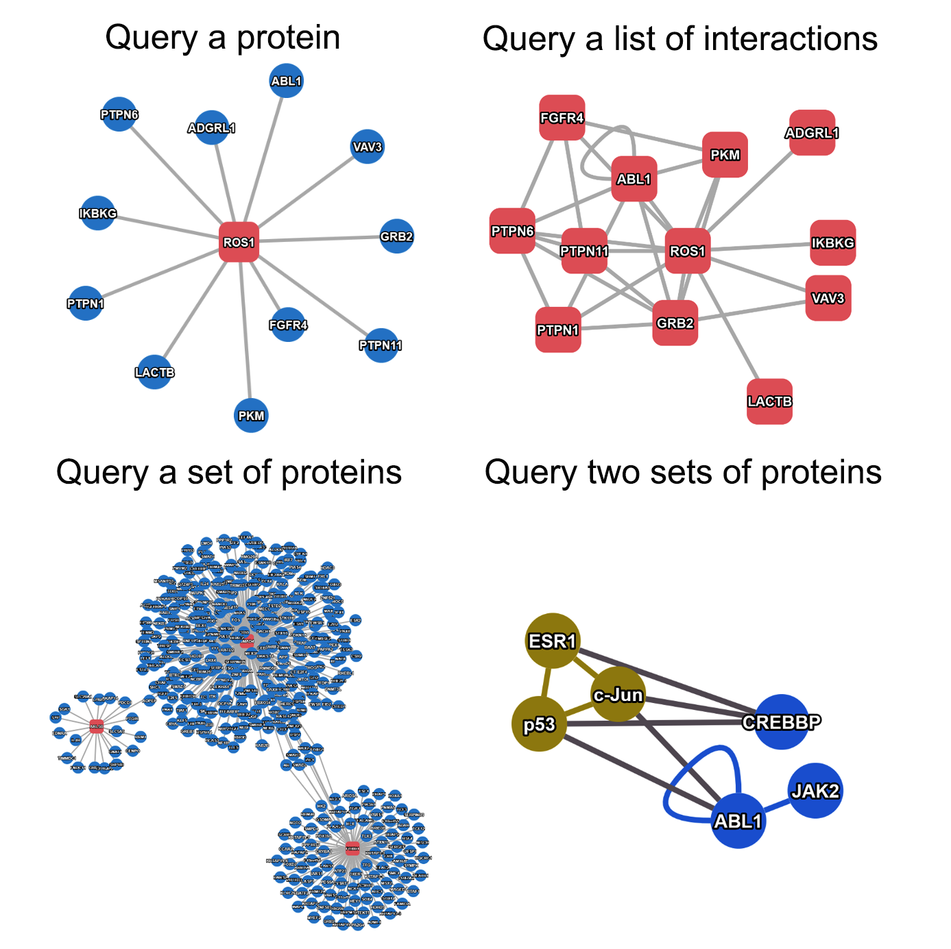 New tool enables mapping of protein interaction networks at scale